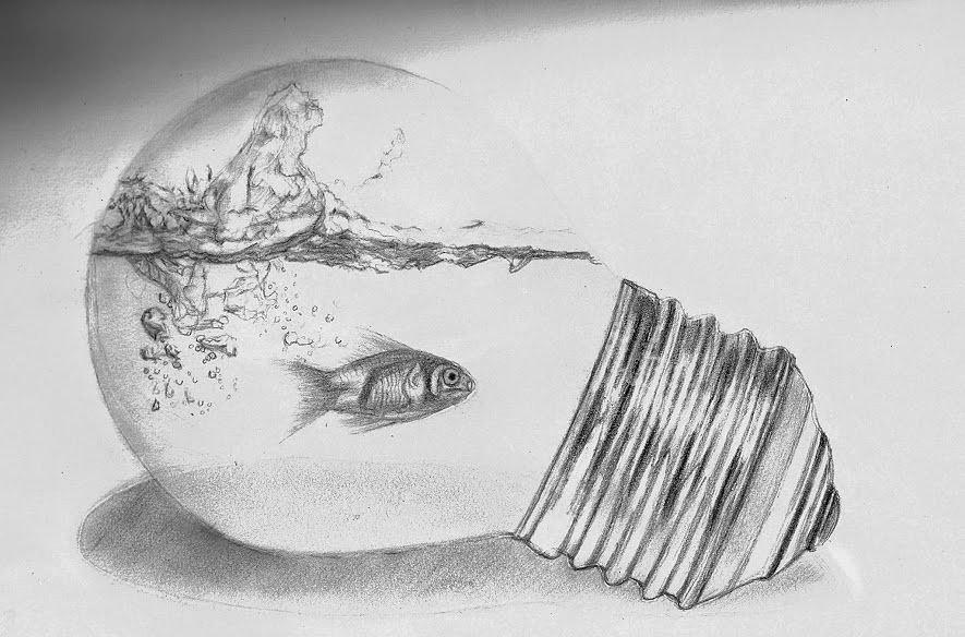 Swimming in the light bulb Drawing by Pedro Almeida - Fine Art America