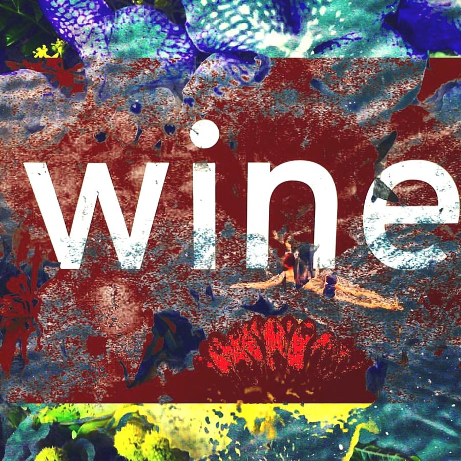 Wine Digital Art - Swimming In Wine by Steve Swindells