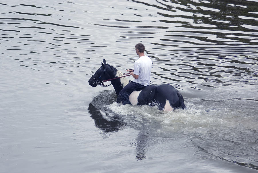 Horse Photograph - Swimming The Horse 1 by Peter Jenkins