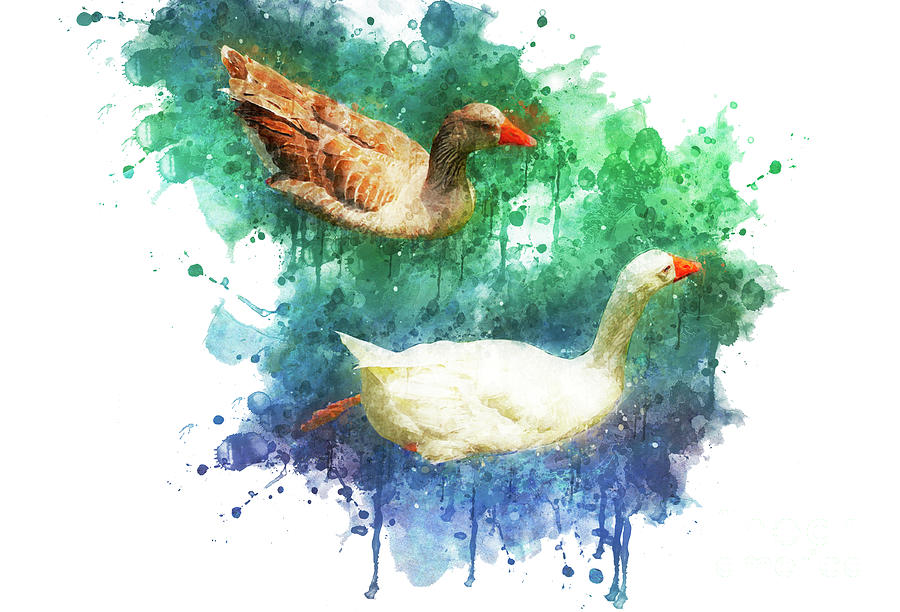 Goose Digital Art - Swimming Through Life by Mary Machare