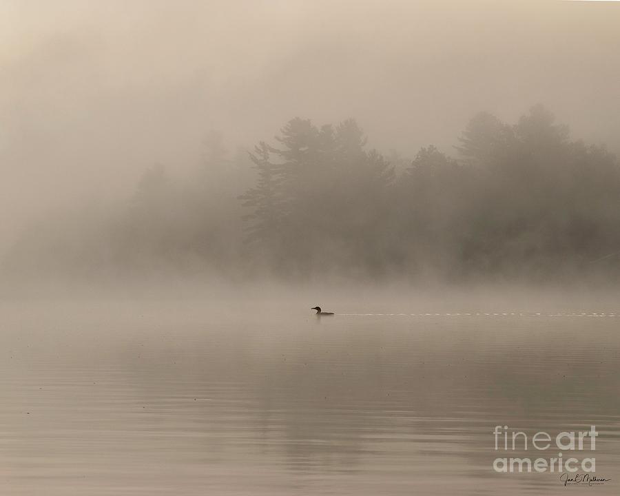 Swimming Through The Fog On Woodbury Pond Photograph