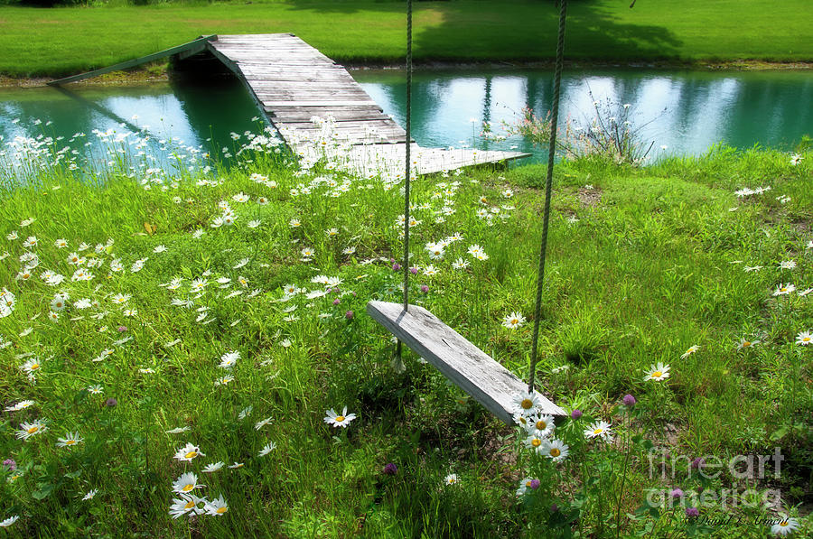 Swing in the Daisies with Bridge Photograph by David Arment