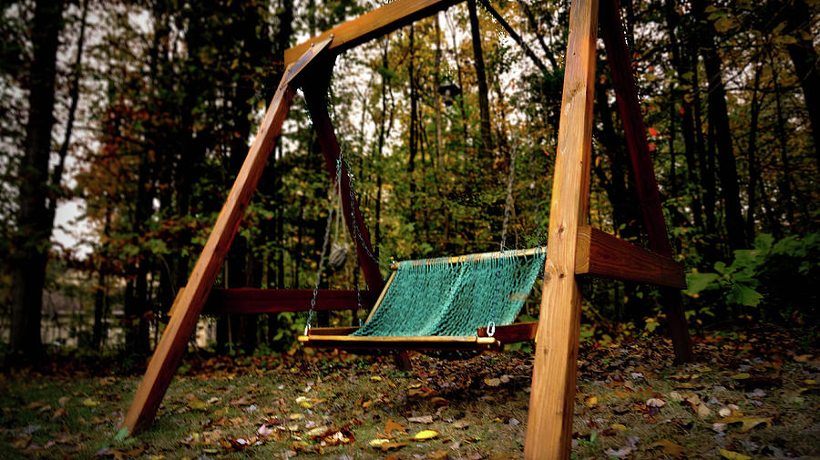 Swing Photograph by Jessie Henry