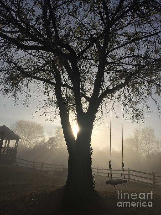 Tree Photograph - Swing Low Sweet Chariot by Sue M Marshall Tree Photograph - Swing Low Sweet Chariot by Sue M Marshall