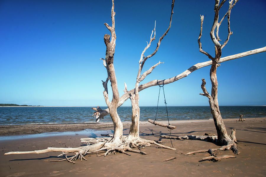 Swingin at low Tide Photograph by Ghostwinds Photography Swingin at low Tide Photograph by Ghostwinds Photography