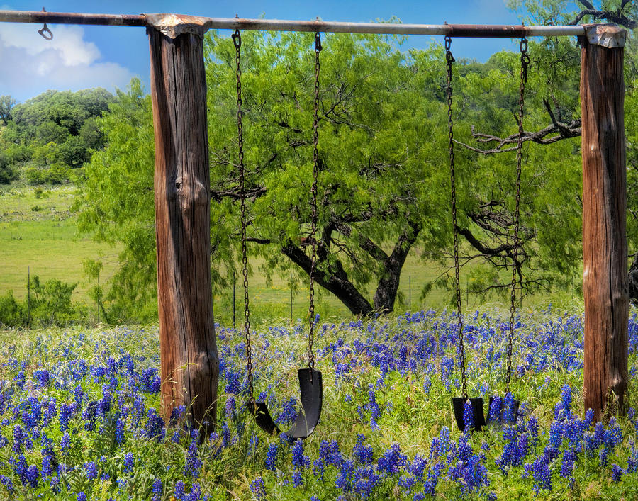 Swinging Among The Bluebonnets Photograph by David and Carol Kelly