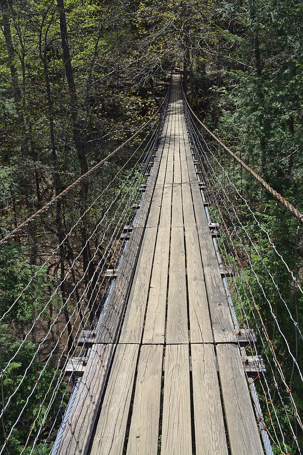 Swinging Bridge Falls Creek Falls State Park Photograph by Bruce Gourley