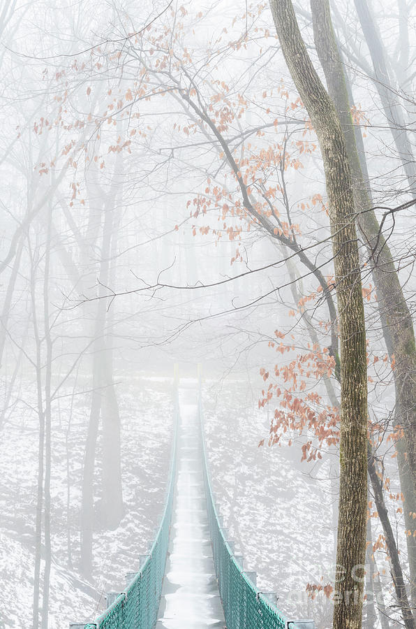 Swinging Bridge in Fog Photograph by Tamara Becker