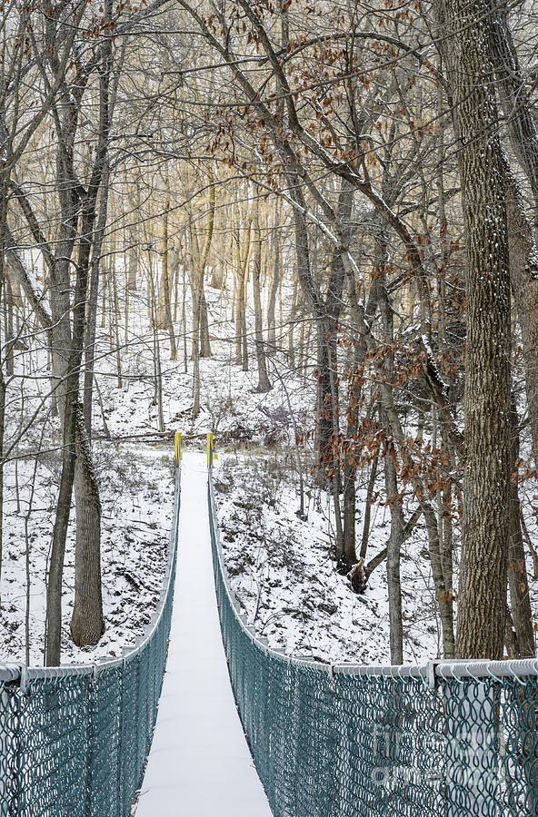 Swinging Bridge In Winter Photograph by Tamara Becker