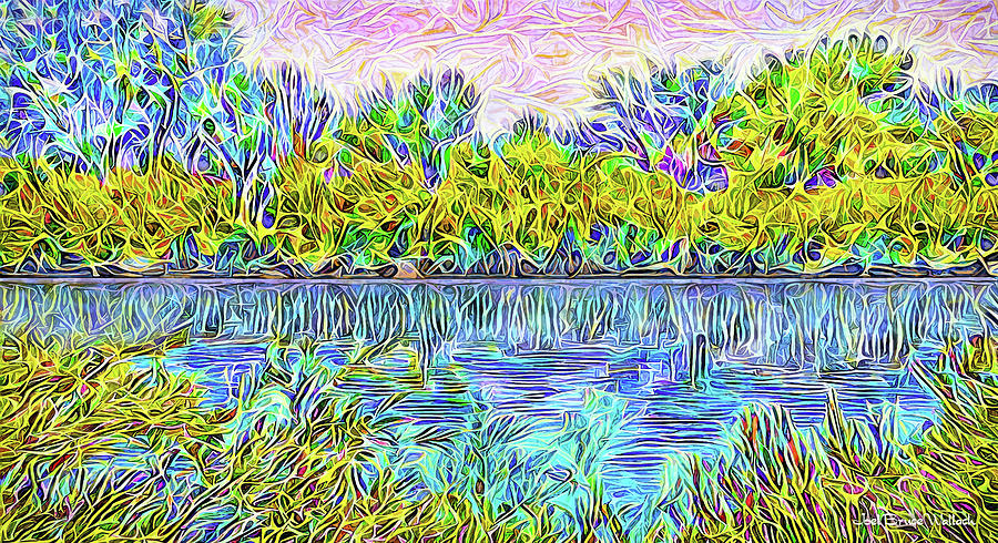 Tree Digital Art - Swirl Pond Indigo - Lake In Boulder County Colorado by Joel Bruce Wallach