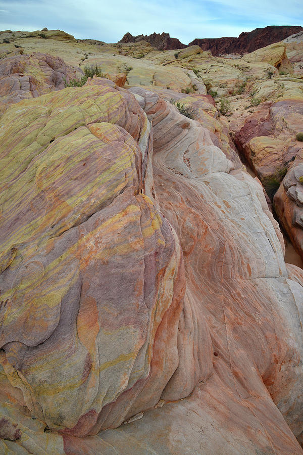 Swirling Colors in Valley of Fire Sandstone Photograph by Ray Mathis