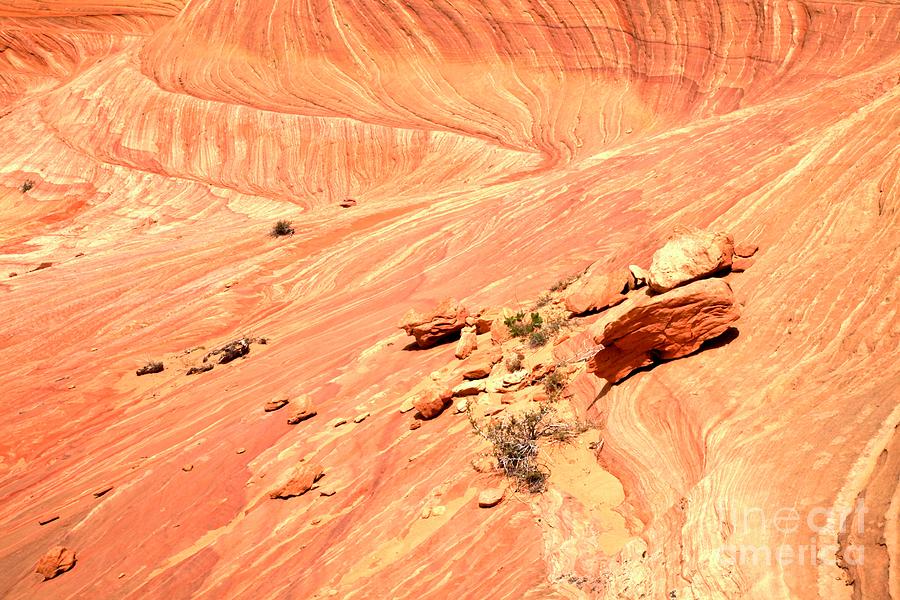 Swirling Desert Sandstone Photograph by Adam Jewell