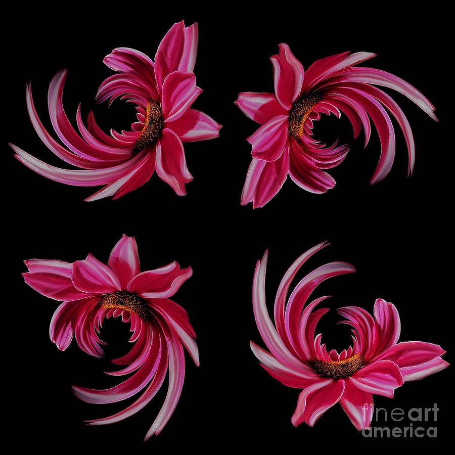 Swirling Echinaceas Digital Art by Diana Rajala