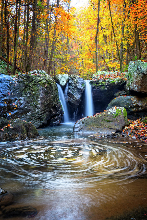Swirling Pools in Autumn Colors Photograph by Debra and Dave Vanderlaan