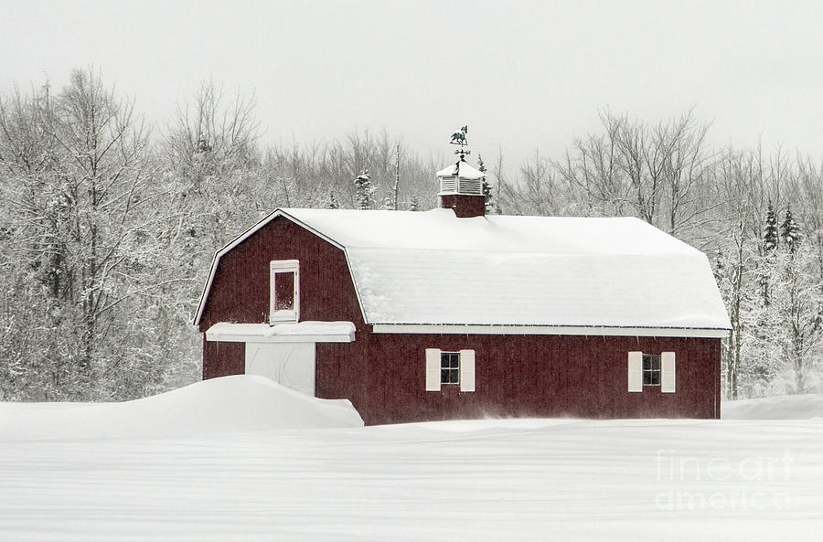 Swirling Snow Photograph by Karin Pinkham
