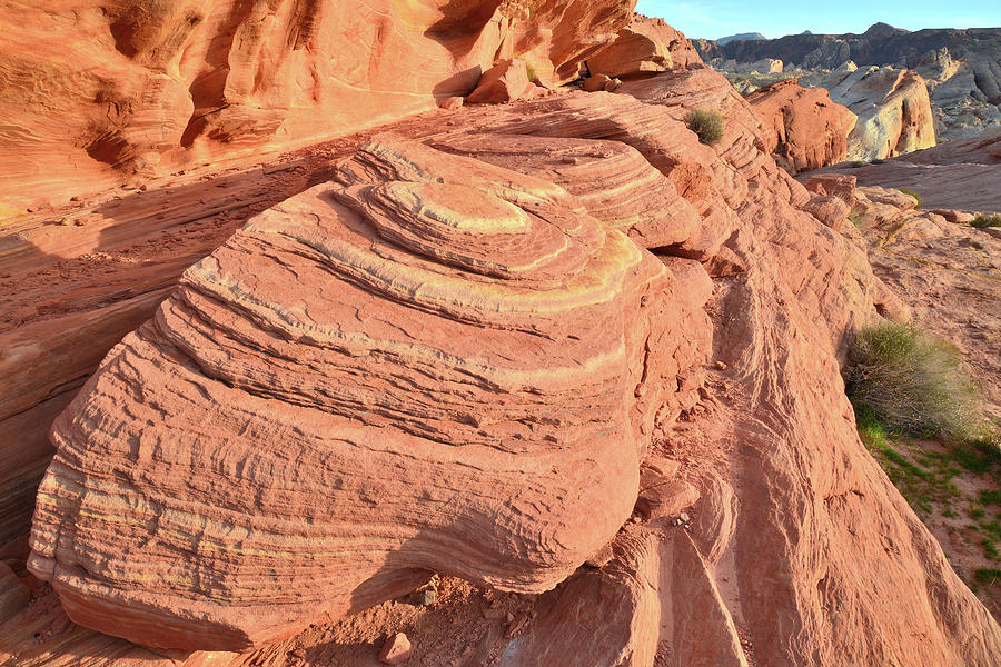 Swirls at Sunset in Valley of Fire Photograph by Ray Mathis