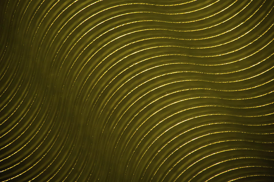 Abstract Photograph - Swirls of gold by Troy Q Nelson