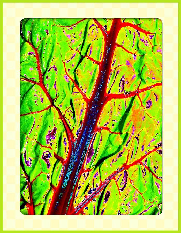 Swiss Chard Abstract Digital Art by Will Borden