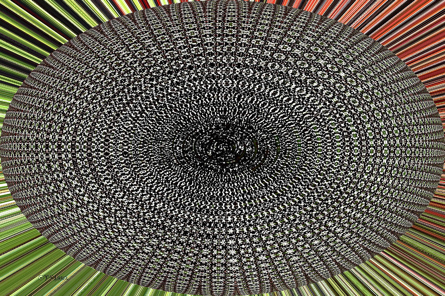 Swiss Chard Oval Abstract #2 Digital Art by Tom Janca