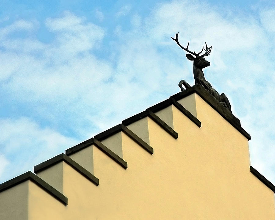 Swiss Deer on Zurich Rooftop Photograph by Ginger Wakem
