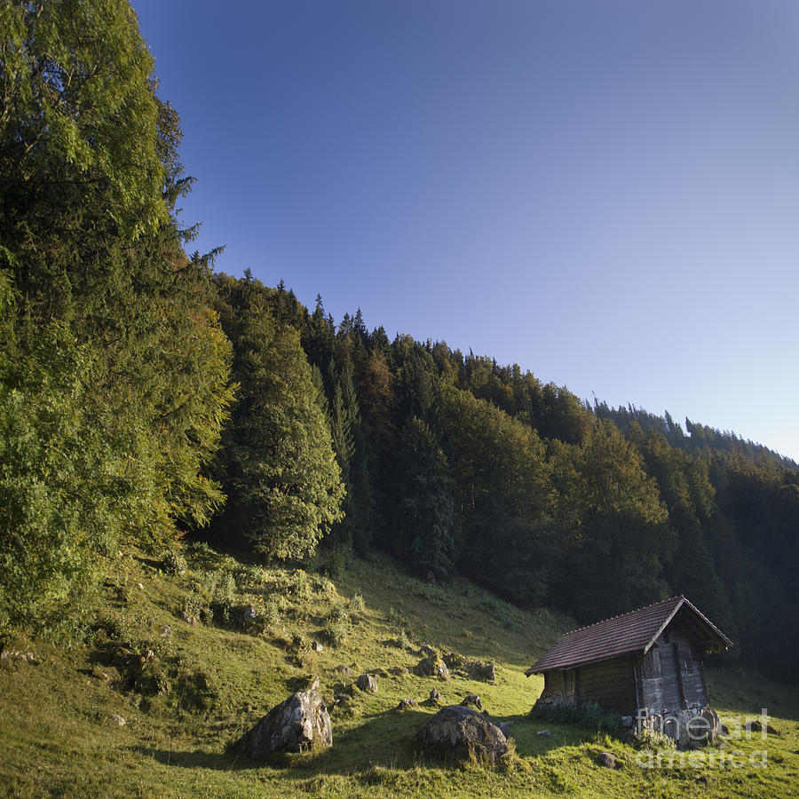 Alps Photograph - Switzerland by Angel Ciesniarska Alps Photograph - Switzerland by Angel Ciesniarska