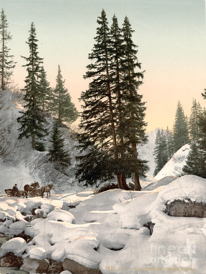 SWITZERLAND: DAVOS, c1895 Painting by Granger
