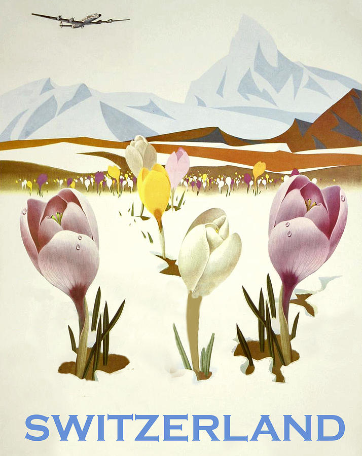Switzerland, mountain flowers, airline poster Painting by Long Shot