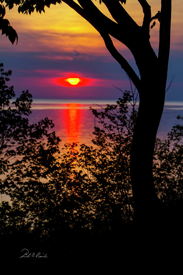 Sunset Photograph - Swooning Sunset by Frederic A Reinecke