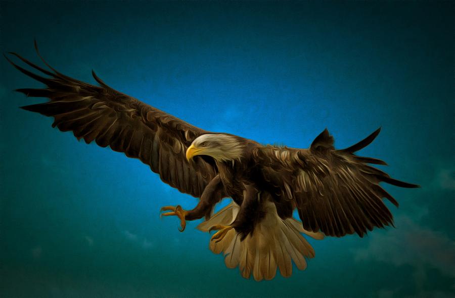 Swooping Eagle Digital Art by Scott Carruthers