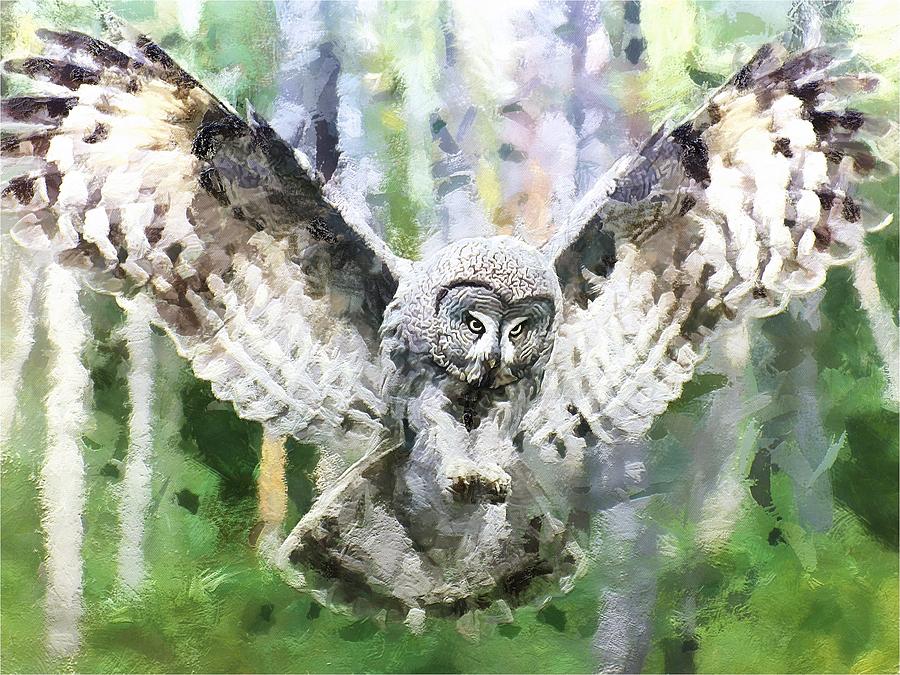Swooping Owl Digital Art by Charmaine Zoe