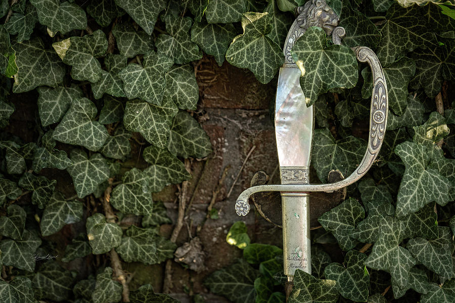 Sword and Vine Photograph by Sharon Popek