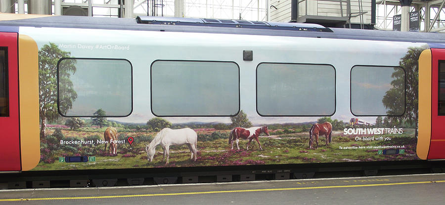 Horse Painting - SWT artwork commission by Martin Davey