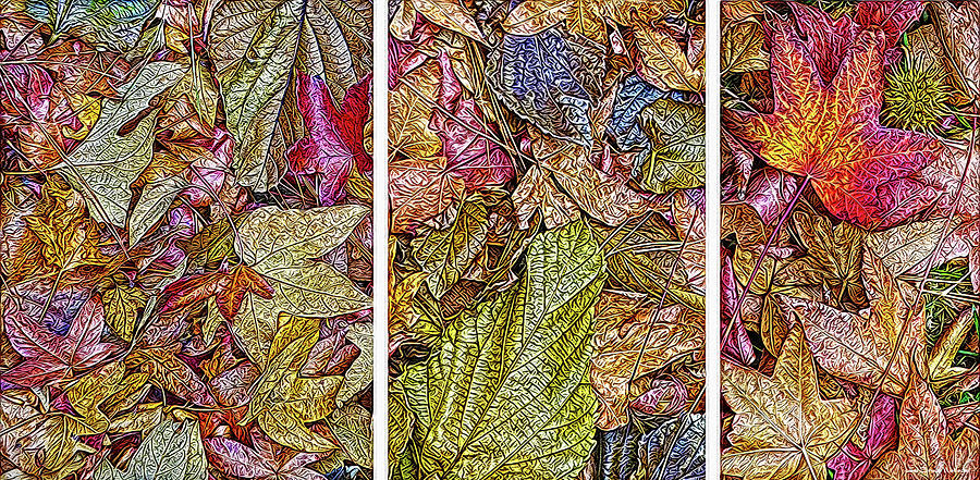Sycamore Autumn Visions - Triptych Digital Art by Joel Bruce Wallach