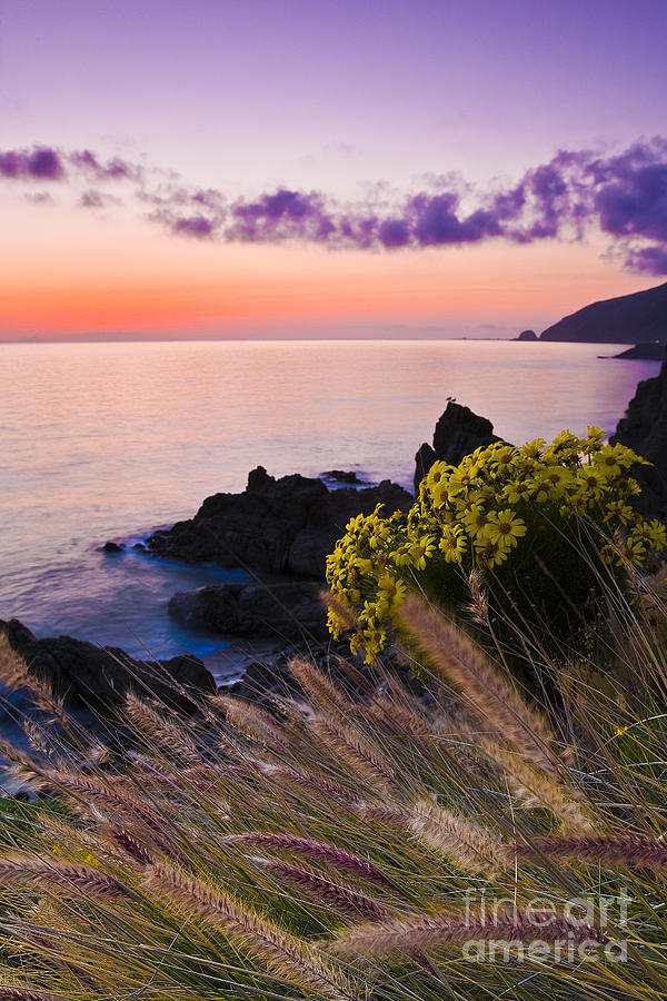 Beaches Photograph - Sycamore Cove After Sunset by Greg Clure Beaches Photograph - Sycamore Cove After Sunset by Greg Clure