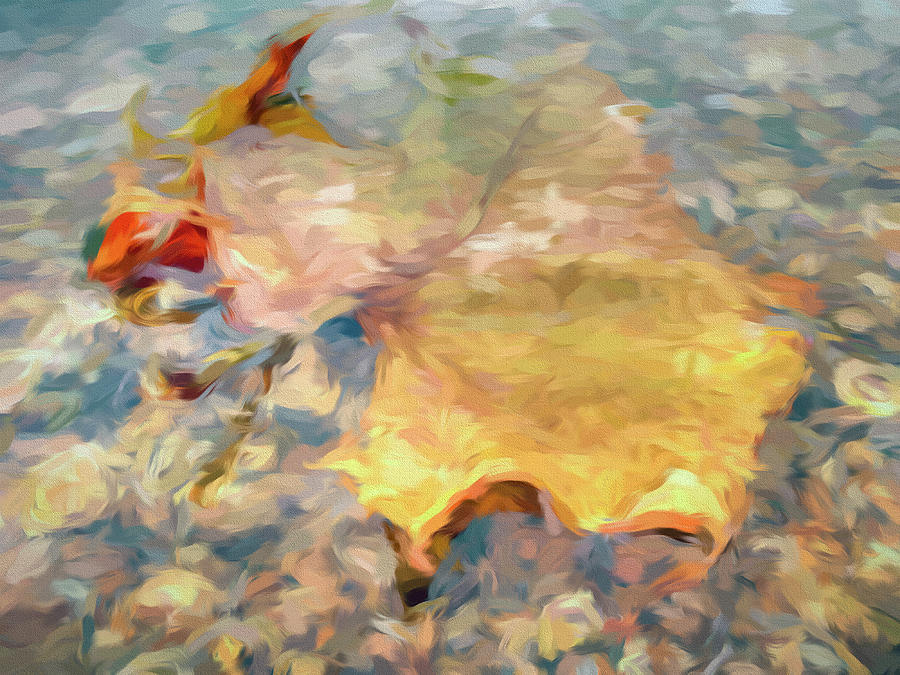 Sycamore Leaf Underwater Digital Art