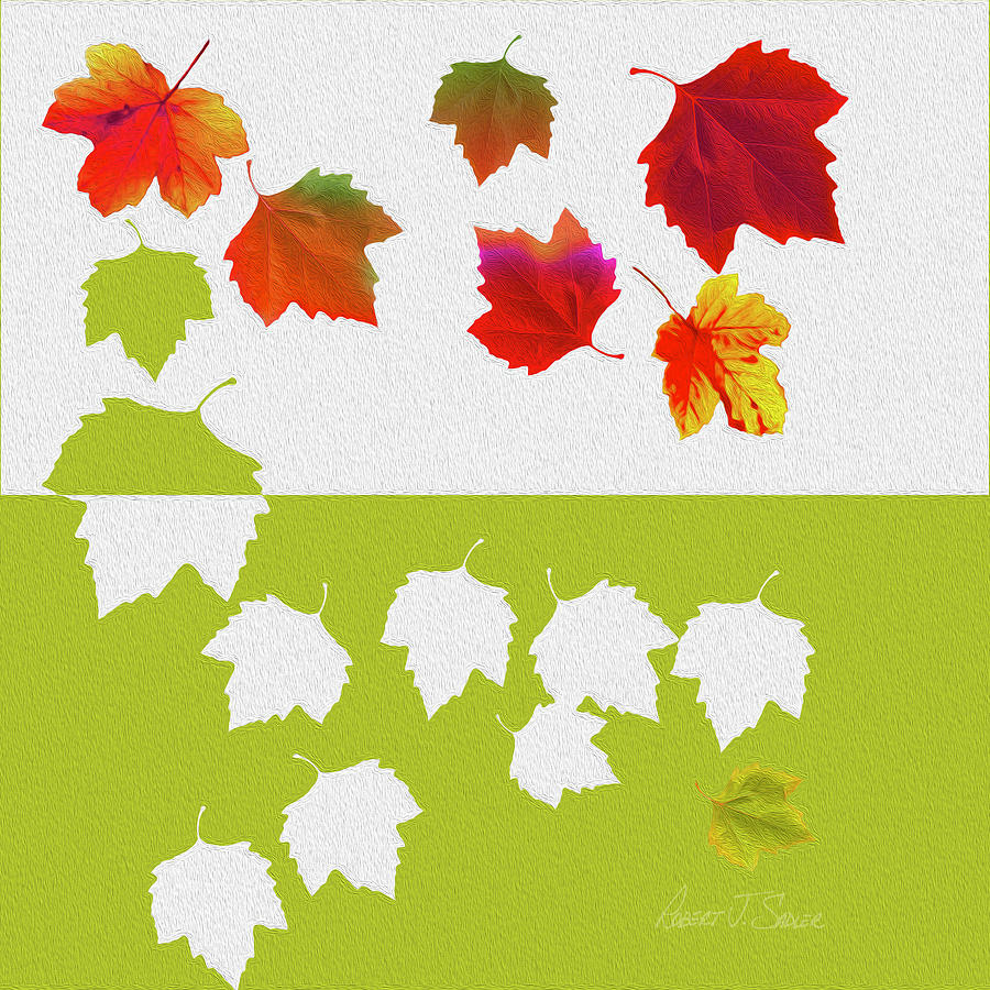 Sycamore Leaves Fall Fell Fallen Digital Art by Robert J Sadler