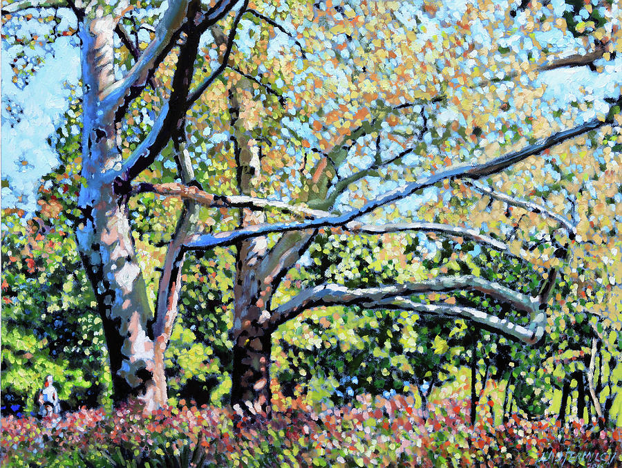 Sycamore Trees at the Zoo Painting by John Lautermilch