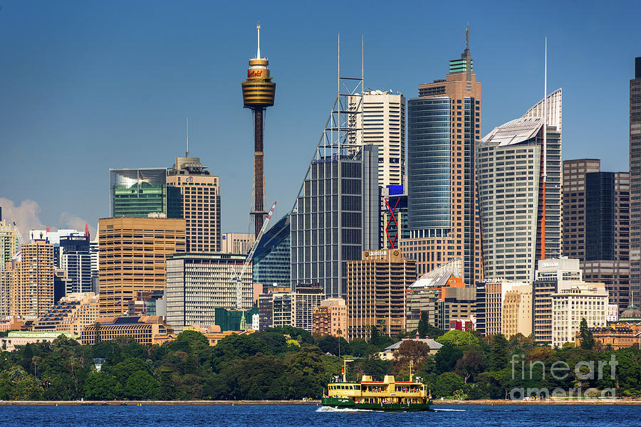 Sydney city skyline Photograph by Andrew Michael