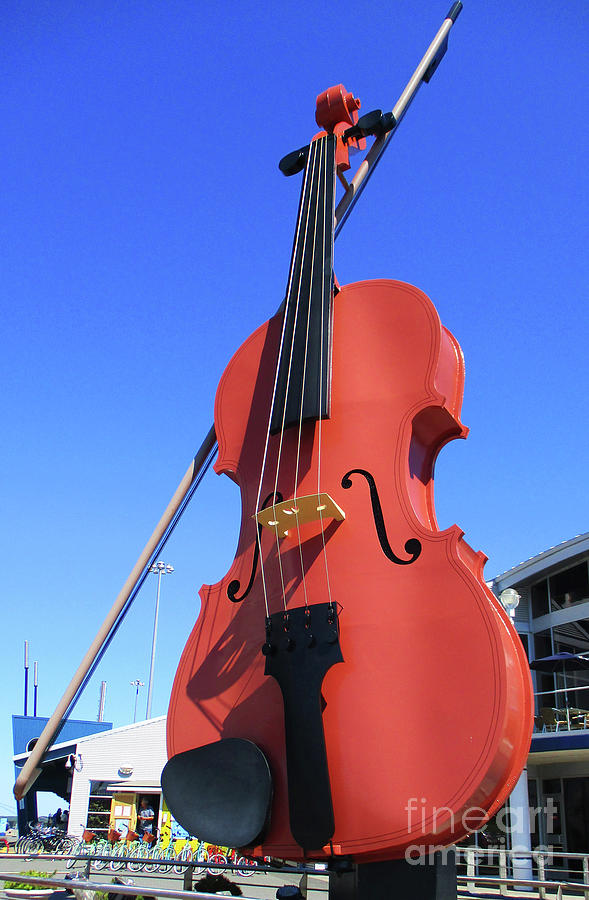 Sydney Fiddle Photograph by Randall Weidner