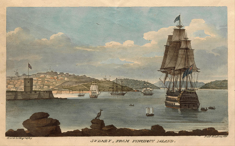 Sydney from Pinchgut Island Drawing by Augustus Earle