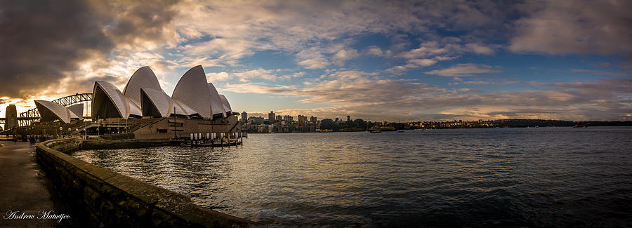 Sydney Harbor Photograph by Andrew Matwijec