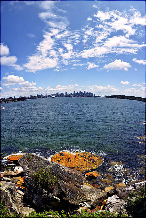 Sydney Harbour Photograph by Andrei SKY
