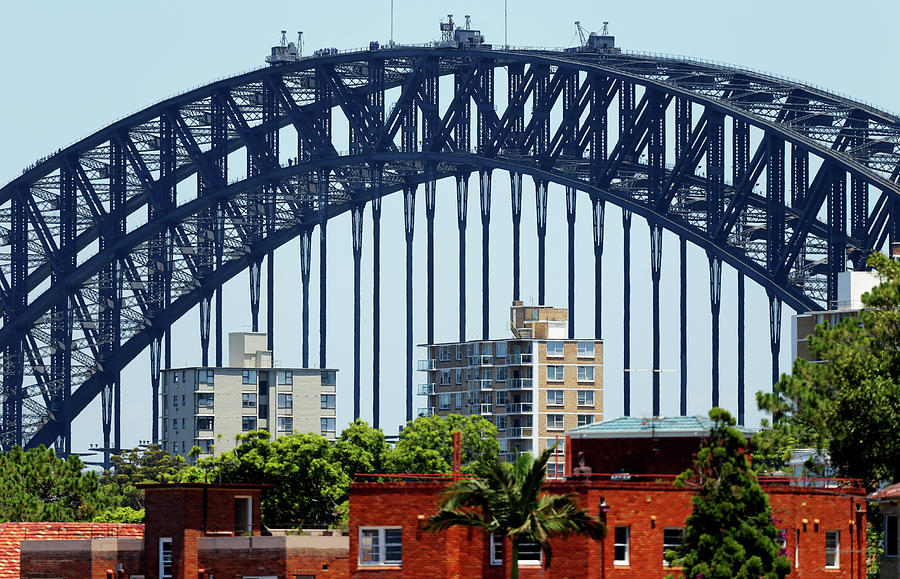 City Photograph - Sydney Harbour Bridge by Chris Lane
