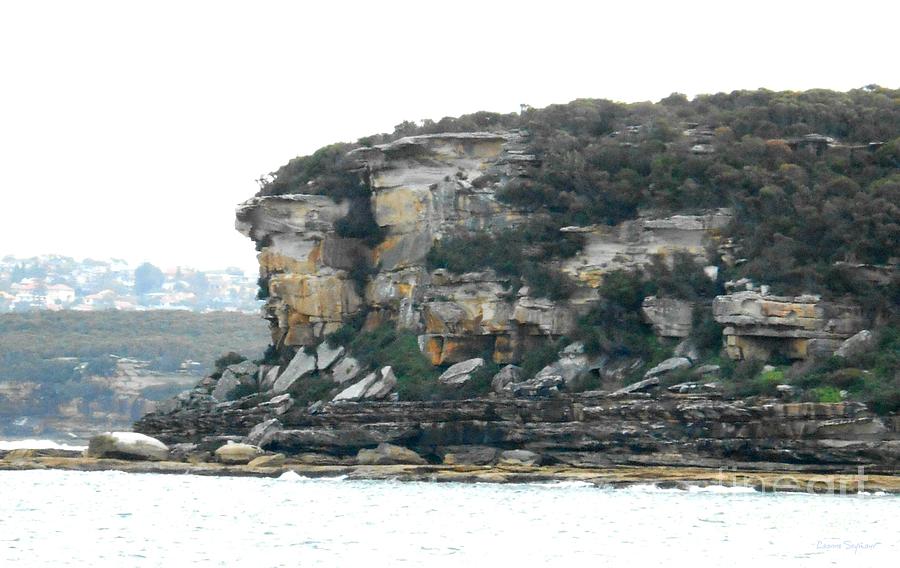 Sydney Harbour Cliffs Photograph by Leanne Seymour