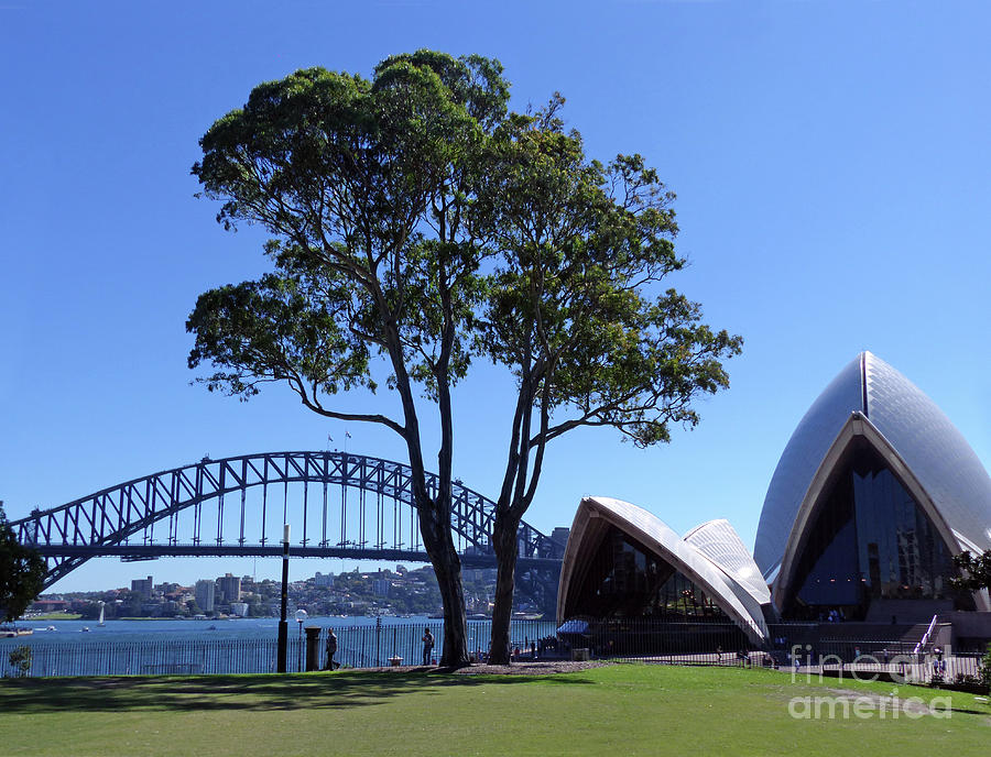 Sydney Harbour - Contrasts - Australia Photograph by Phil Banks