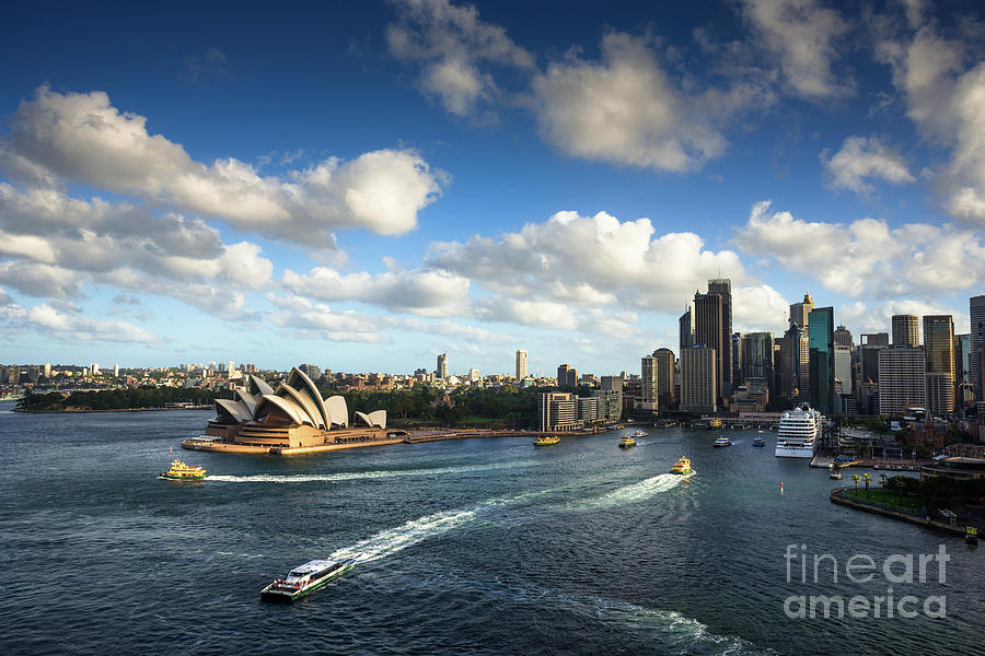 Sydney harbour skyline Photograph by Andrew Michael