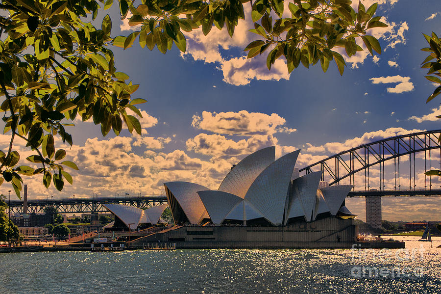 Sydney Opera at Dusk Photograph by Rick Bragan