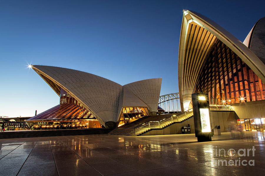 Sydney Opera House 4 Photograph by Timothy Hacker