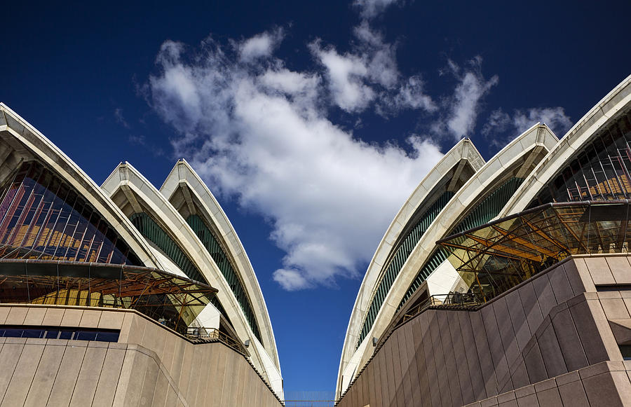 Sydney Opera House Photograph by Benjamin Berlin