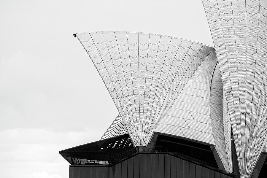 Sydney Opera House Photograph by Catherine Reading